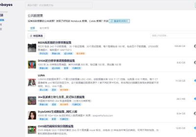openbayes公共AI资源