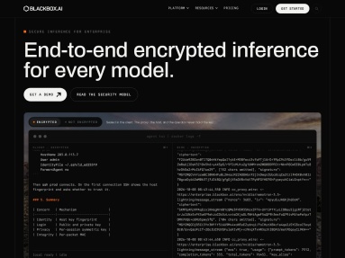 BlackBox AI