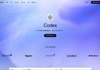 Codex翻译站点