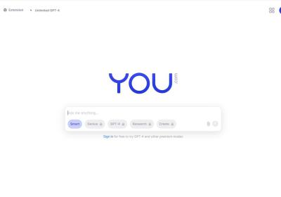 you.com翻译站点