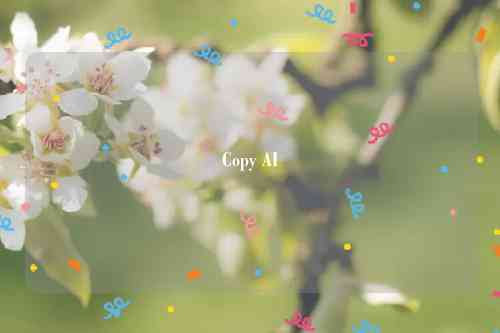 Copy AI