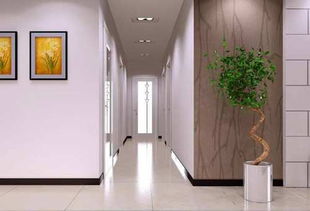 绍兴墙面修补后装修为什么会
出现裂缝