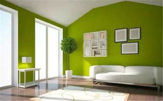 室内装修时,如何选择环保材料避免甲醛超标